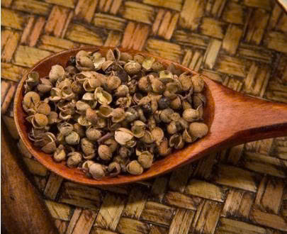 Mắc Khén Rừng Điện Biên